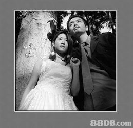 囍結(jié)良緣 一站式婚禮與婚介服務(wù)引領(lǐng)幸福新時(shí)代